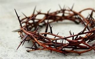 A Crown of Thorns