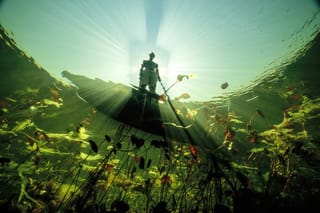 Learning to Wait Well