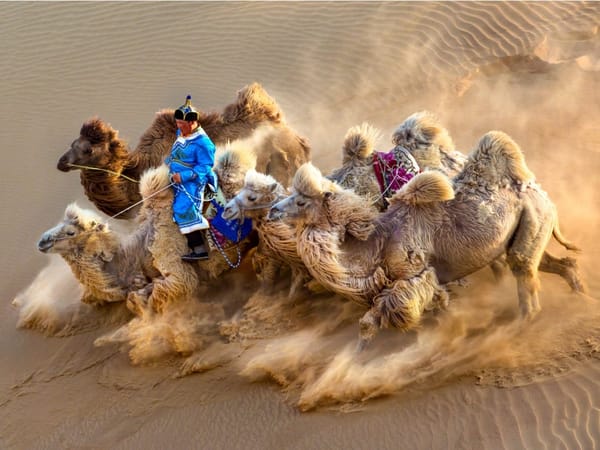 Renewal for the Journey