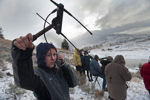 Faith That Listens and Responds